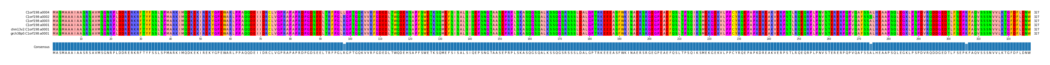 Multiple Alignments (by translate haplotype similarity)