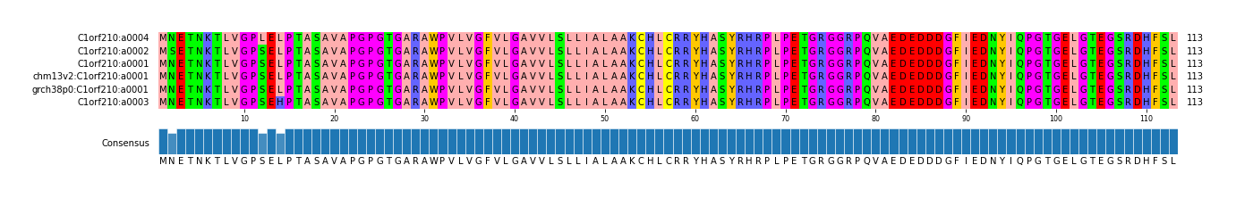 Multiple Alignments (by translate haplotype similarity)