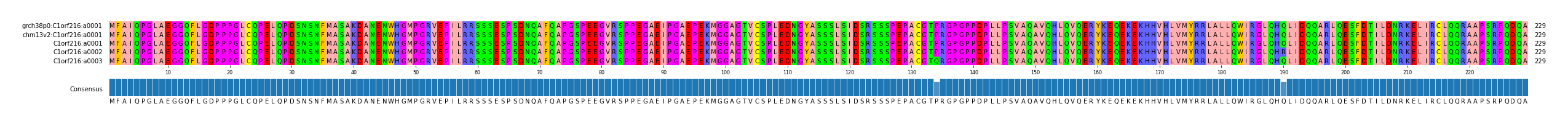 Multiple Alignments (by translate haplotype frequency)