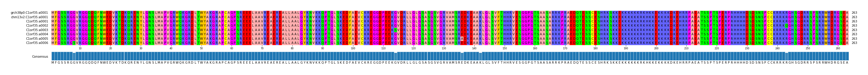 Multiple Alignments (by translate haplotype frequency)