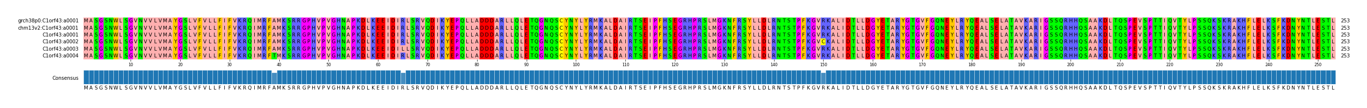 Multiple Alignments (by translate haplotype frequency)