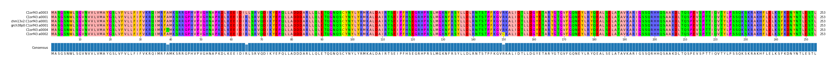 Multiple Alignments (by translate haplotype similarity)