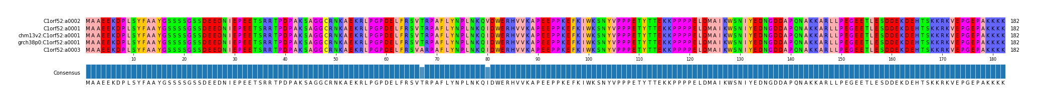 Multiple Alignments (by translate haplotype similarity)