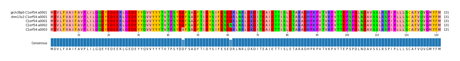 Multiple Alignments (by translate haplotype frequency)