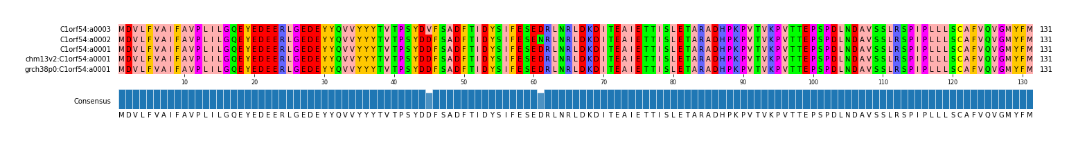 Multiple Alignments (by translate haplotype similarity)