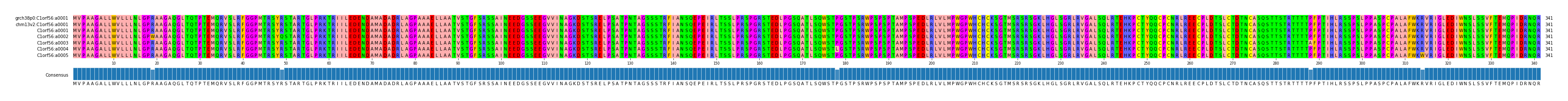 Multiple Alignments (by translate haplotype frequency)