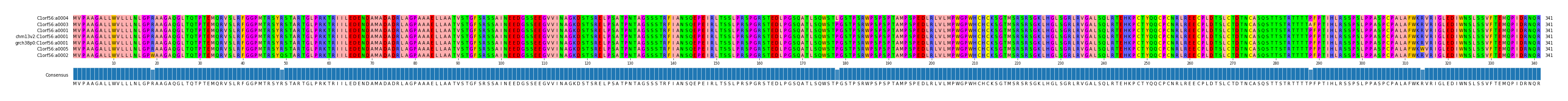 Multiple Alignments (by translate haplotype similarity)