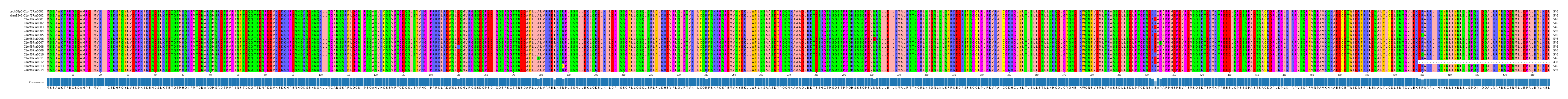 Multiple Alignments (by translate haplotype frequency)
