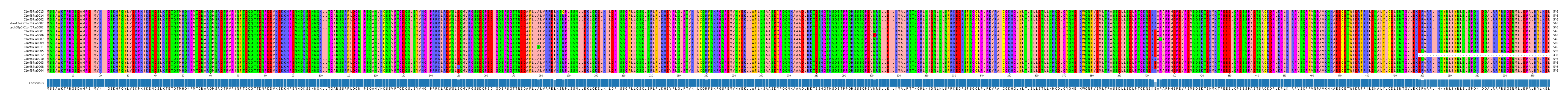 Multiple Alignments (by translate haplotype similarity)