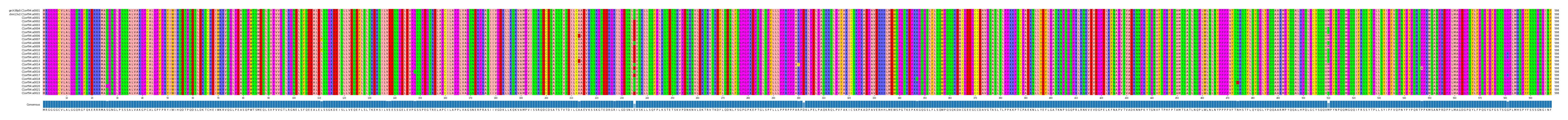 Multiple Alignments (by translate haplotype frequency)