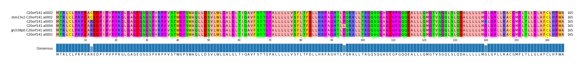 Multiple Alignments (by translate haplotype similarity)