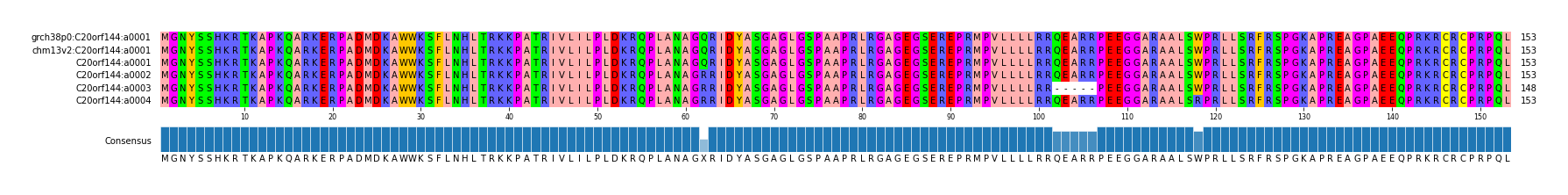 Multiple Alignments (by translate haplotype frequency)