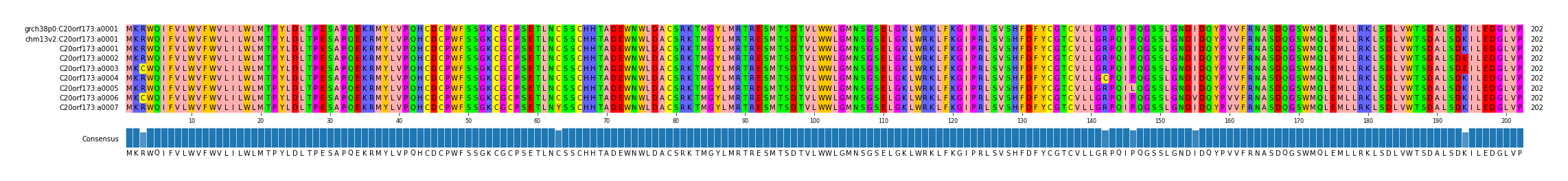 Multiple Alignments (by translate haplotype frequency)