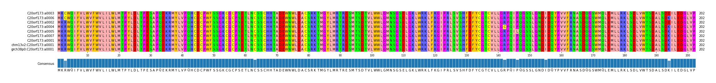 Multiple Alignments (by translate haplotype similarity)