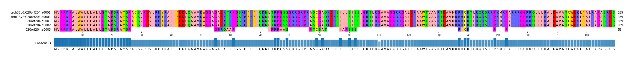Multiple Alignments (by translate haplotype similarity)