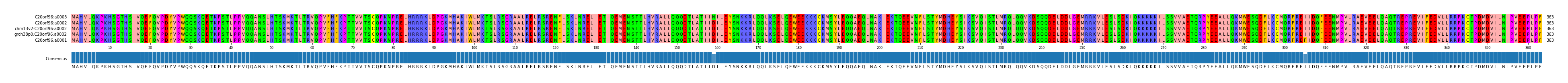 Multiple Alignments (by translate haplotype similarity)