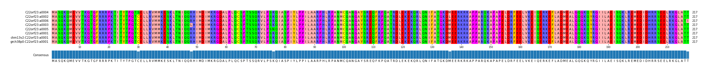 Multiple Alignments (by translate haplotype similarity)