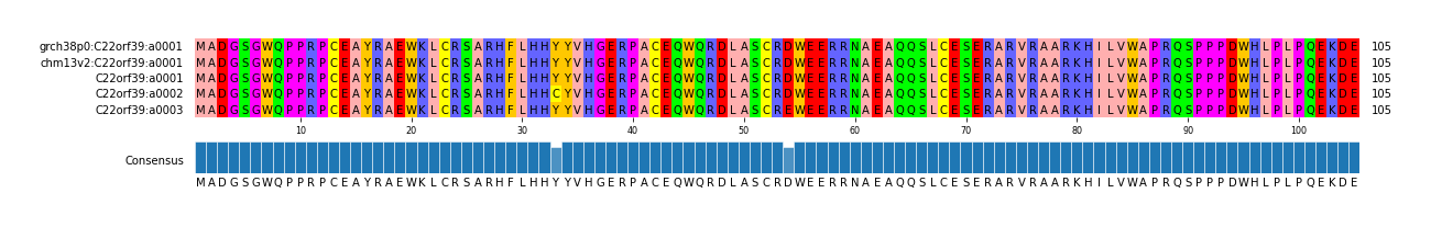 Multiple Alignments (by translate haplotype frequency)