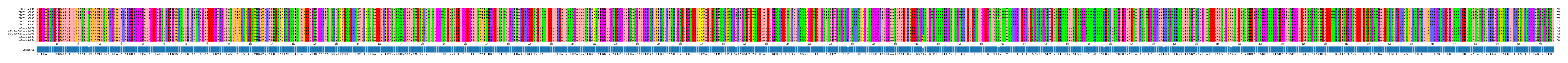 Multiple Alignments (by translate haplotype similarity)