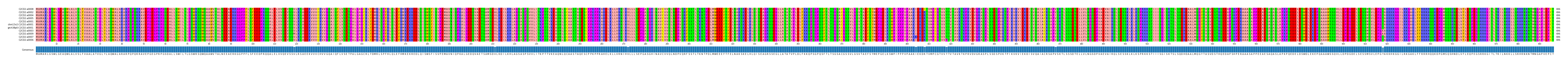 Multiple Alignments (by translate haplotype similarity)