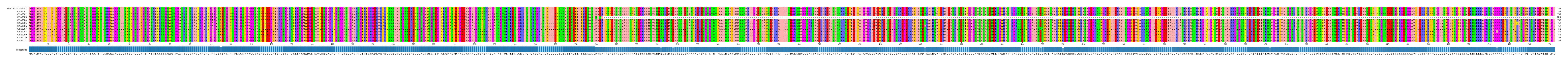Multiple Alignments (by translate haplotype frequency)