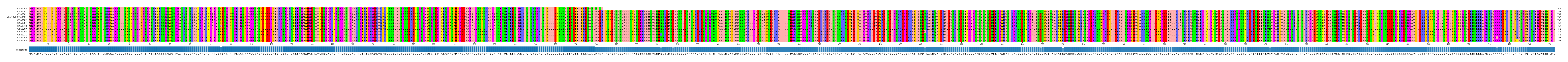 Multiple Alignments (by translate haplotype similarity)