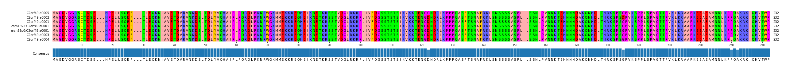 Multiple Alignments (by translate haplotype similarity)