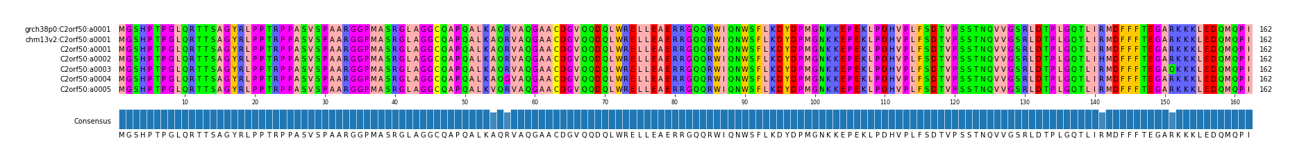 Multiple Alignments (by translate haplotype frequency)