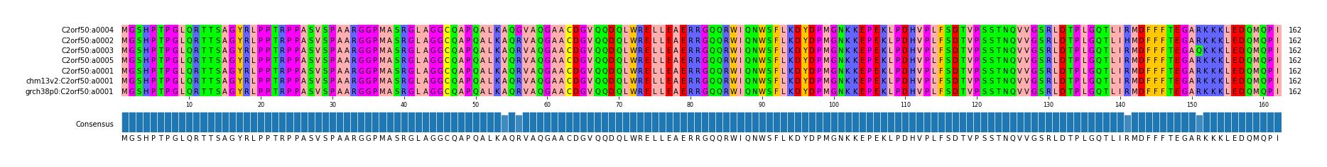 Multiple Alignments (by translate haplotype similarity)