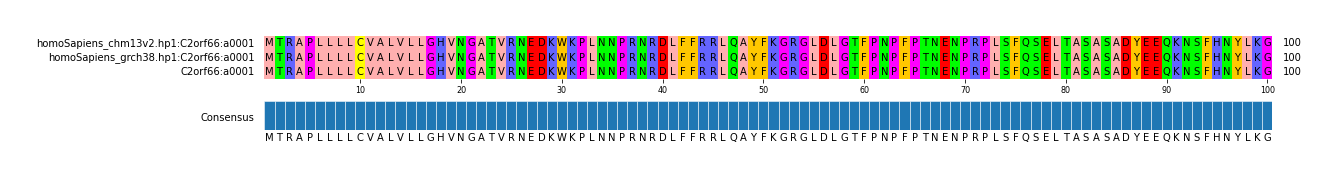 Multiple Alignments (by translate haplotype similarity)