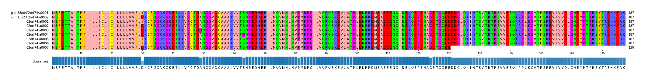 Multiple Alignments (by translate haplotype frequency)