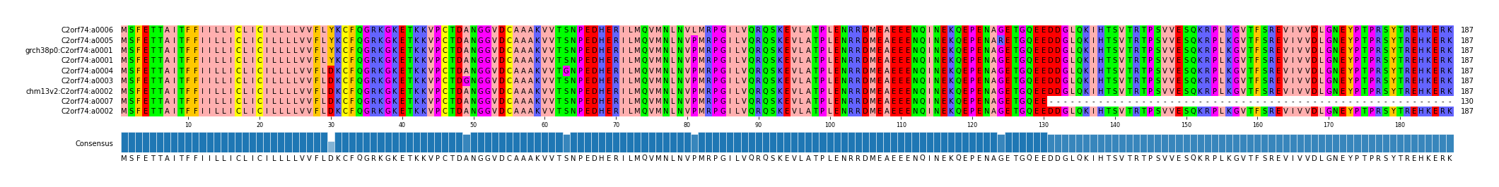 Multiple Alignments (by translate haplotype similarity)