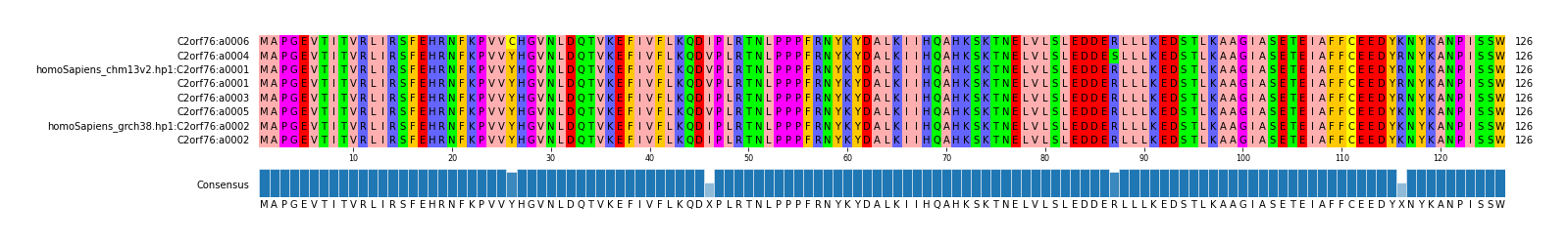 Multiple Alignments (by translate haplotype similarity)