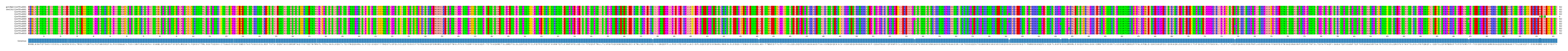 Multiple Alignments (by translate haplotype frequency)