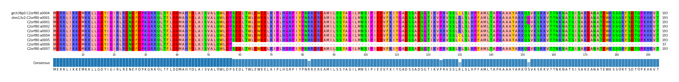 Multiple Alignments (by translate haplotype frequency)