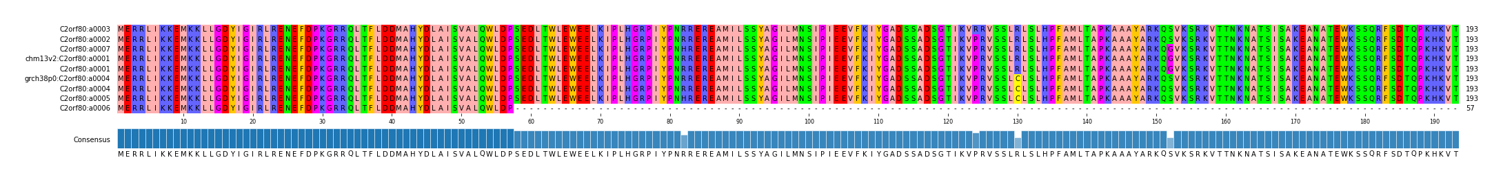 Multiple Alignments (by translate haplotype similarity)
