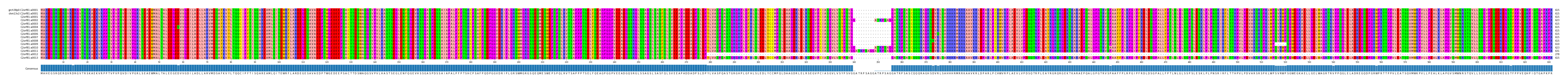 Multiple Alignments (by translate haplotype frequency)