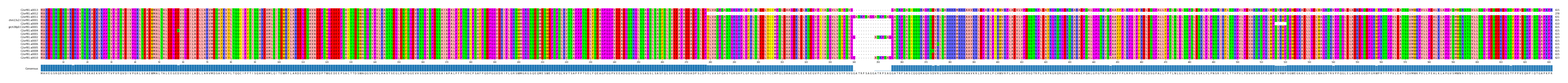 Multiple Alignments (by translate haplotype similarity)