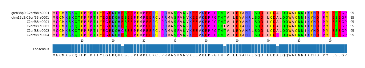 Multiple Alignments (by translate haplotype frequency)