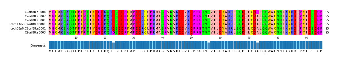 Multiple Alignments (by translate haplotype similarity)