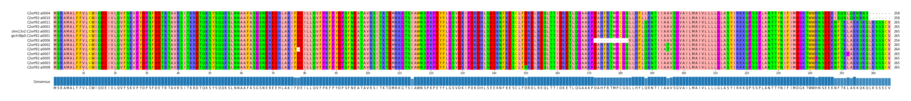 Multiple Alignments (by translate haplotype similarity)