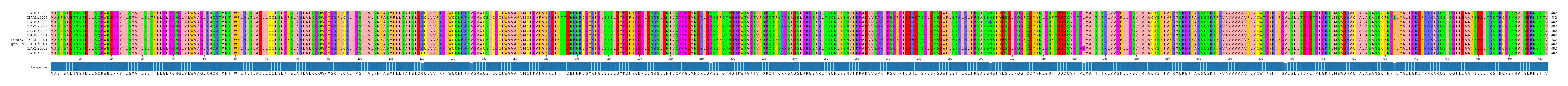 Multiple Alignments (by translate haplotype similarity)