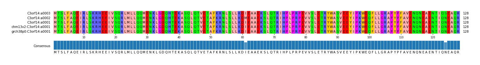 Multiple Alignments (by translate haplotype similarity)