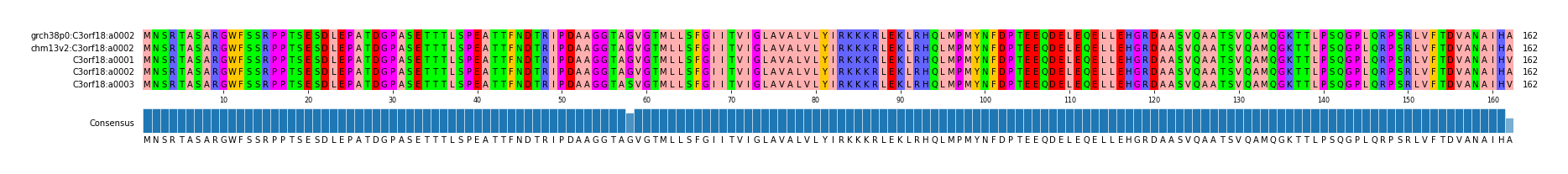 Multiple Alignments (by translate haplotype frequency)