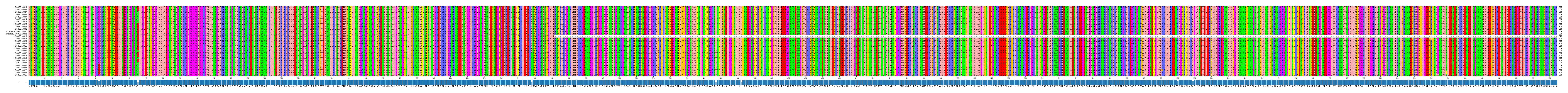 Multiple Alignments (by translate haplotype similarity)