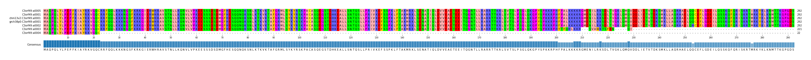 Multiple Alignments (by translate haplotype similarity)