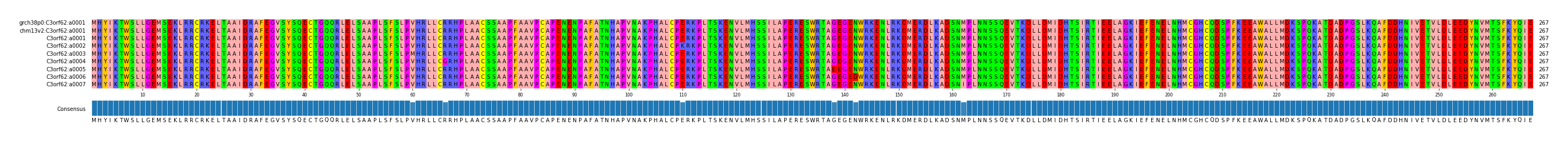 Multiple Alignments (by translate haplotype frequency)