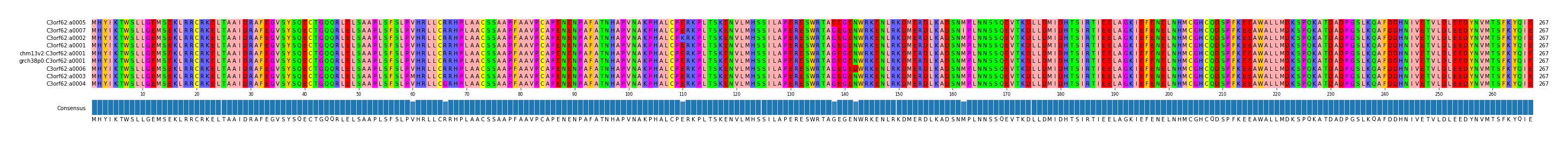 Multiple Alignments (by translate haplotype similarity)