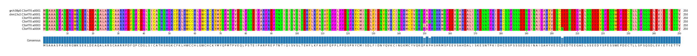 Multiple Alignments (by translate haplotype frequency)