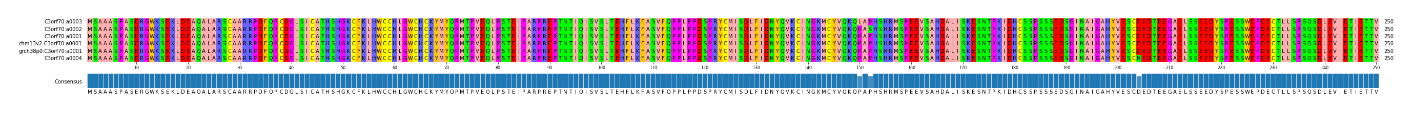 Multiple Alignments (by translate haplotype similarity)